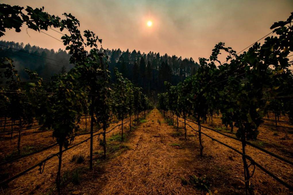 WineCountry.Climate-1020x680